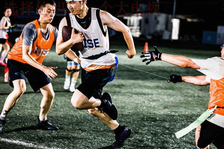 乐动体育最新网站动态资讯汇总